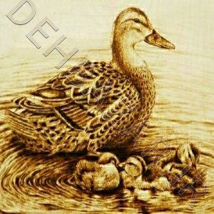 تابلو سوخت نگاری منظره مرغابی